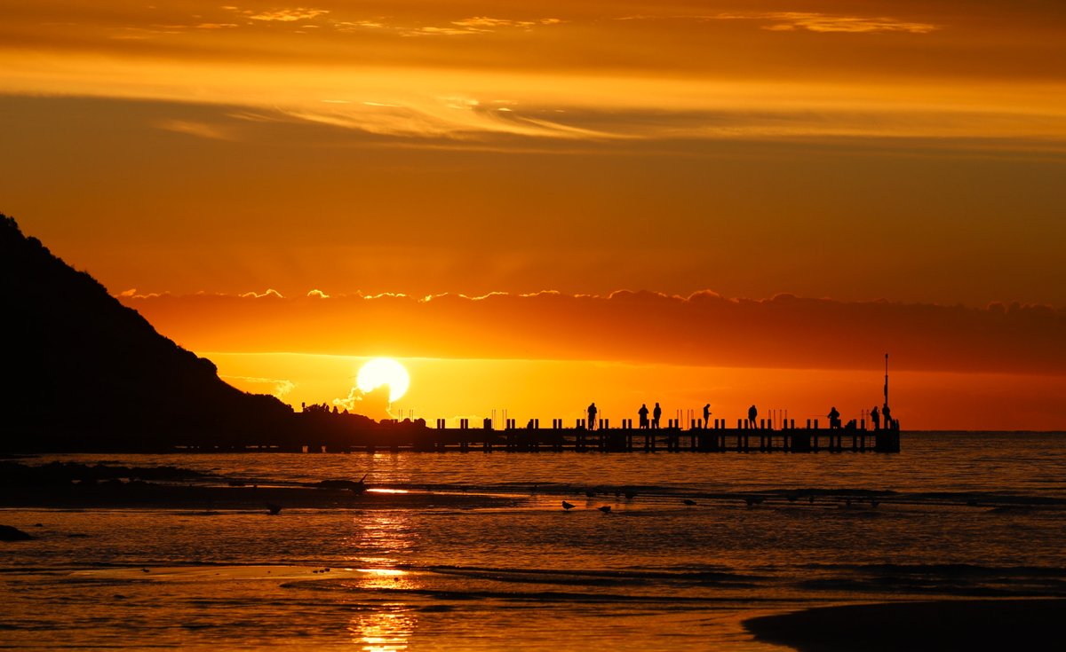 쿡앤커피 tweet media