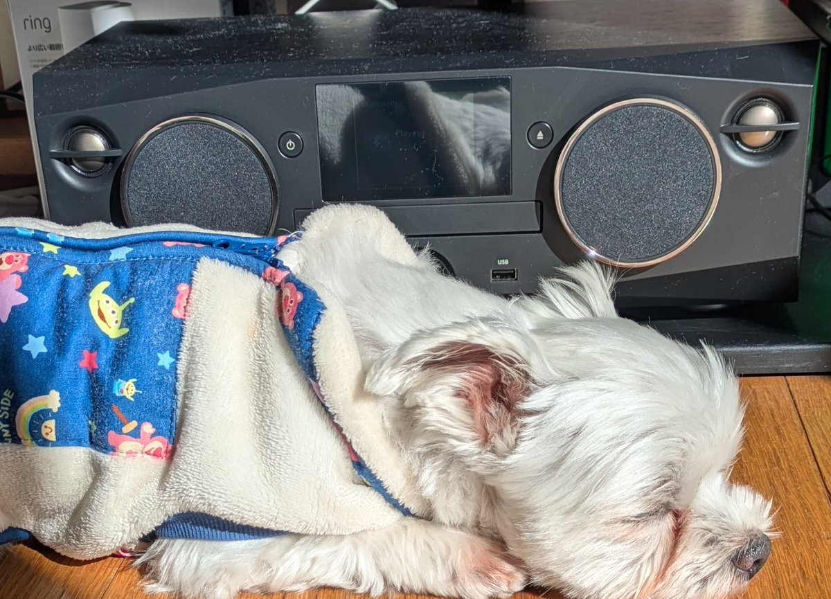 くま吾郎 (@kumagorou11011) / Posts / X くま吾郎 (@kumagorou11011) / Posts / X