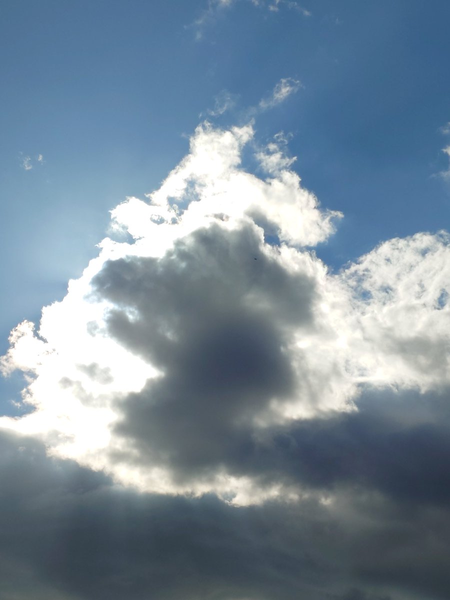 ありがとうございます！！！