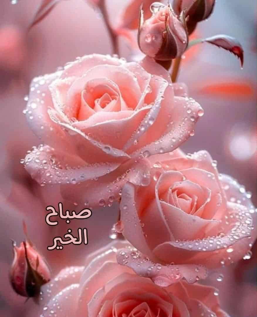 Marwan (@rango00x7) on Twitter photo 