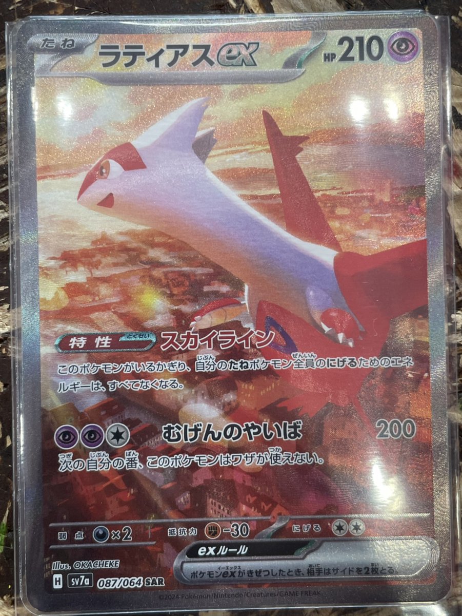 8月入荷 100粒+ チャメドレア ラディカリス 種 種子 証明書あり1308 チャメドレア ラディカリス 8月入荷 100粒+ チャメドレア ラディカリス