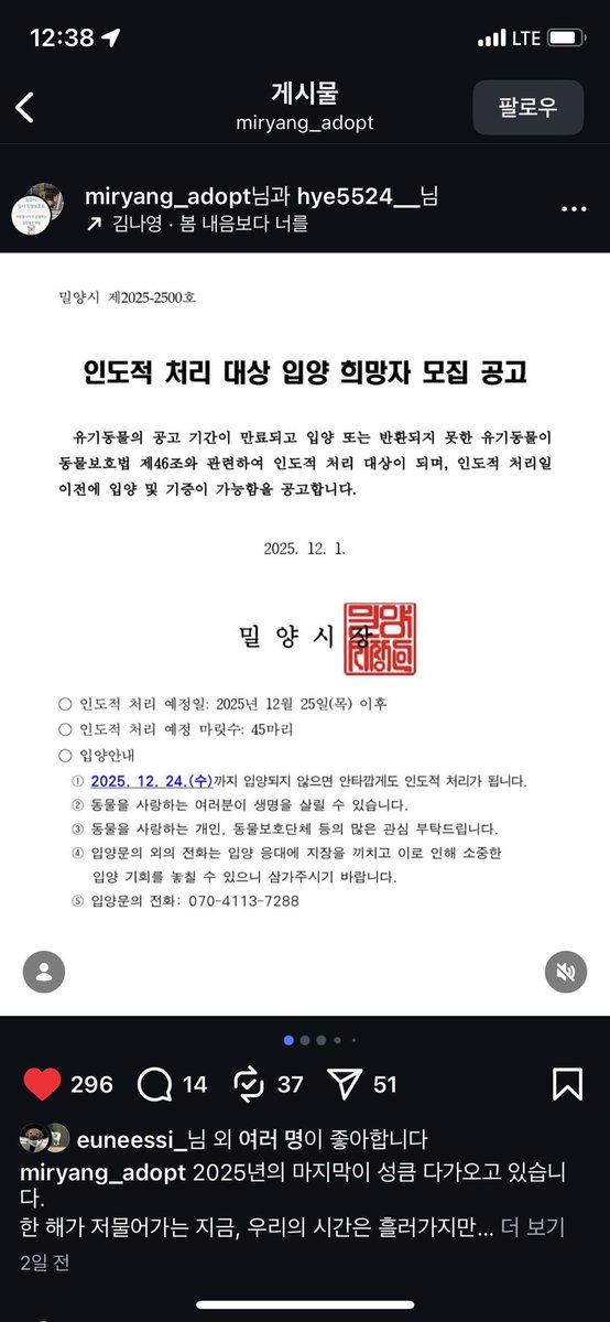 zzoogooli's tweet photo. 밀양보호소 안락사 45명 예정… 
제 픽은요…⬇️⬇️⬇️
웃음만 나는 이 찐빵들 좀 보세요ㅠ 가좍이 되어주세요 https://t.co/aU65M8J7VT