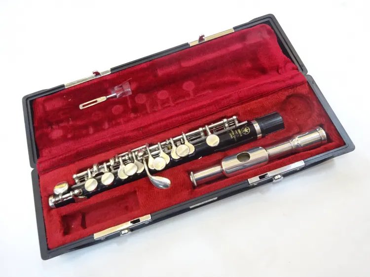 ホビー・楽器・アート mitsu y いよいよ来週になりました✨ #楽器王フェスタ2025 ！ 持って行く楽器の