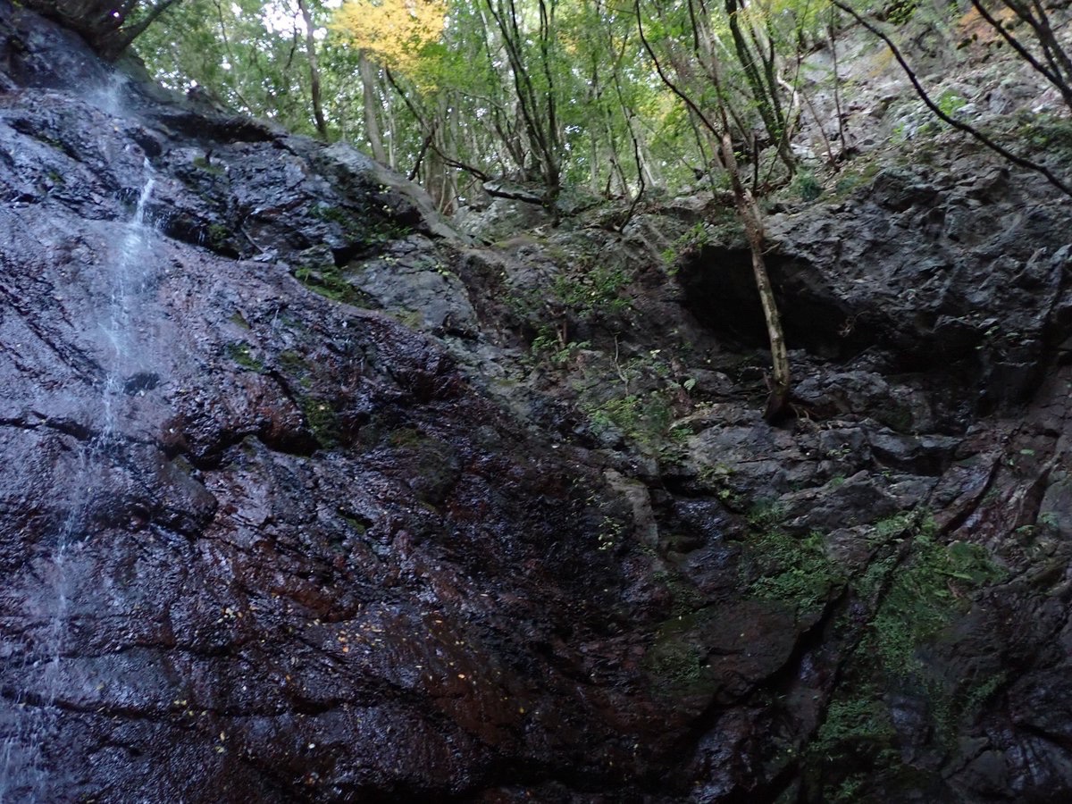 美波町の赤滝

何故かどの案内看板にも"秘境赤滝"と書いてあるんだけど、何か秘境の謂れがあるのかな？
残念ながらシカ害が酷くて景色だけ見て帰った🥲