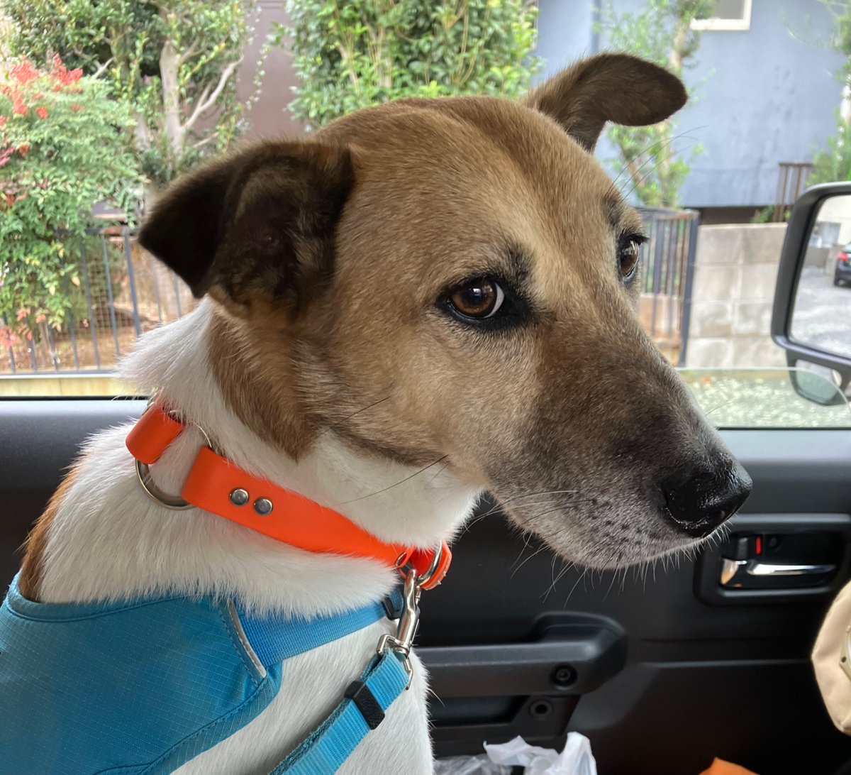 🚘でお出かけだ！