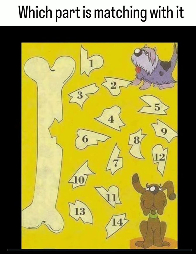 Brain IQ Test tweet media