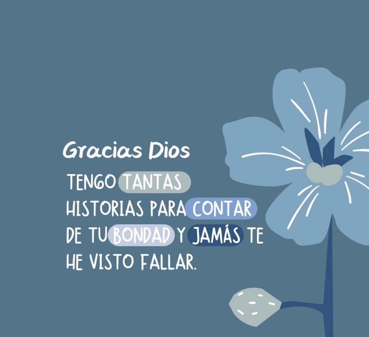 pekebarragan's tweet photo. 🌻🌻🌻🌻 https://t.co/NNxLCx0V3B