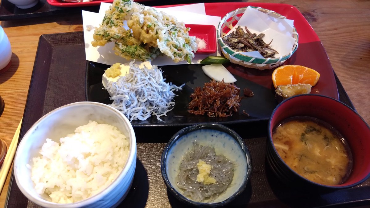湘南近くでシラス定食。
生しらすとかかき揚げがおいしかった。
ほんとは生しらす丼が食べたかったけど。