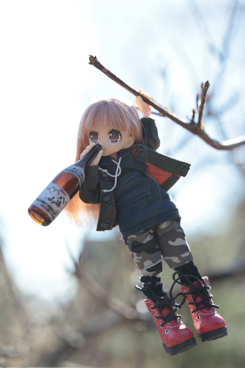 ニホンシュザル（絶滅危惧種）