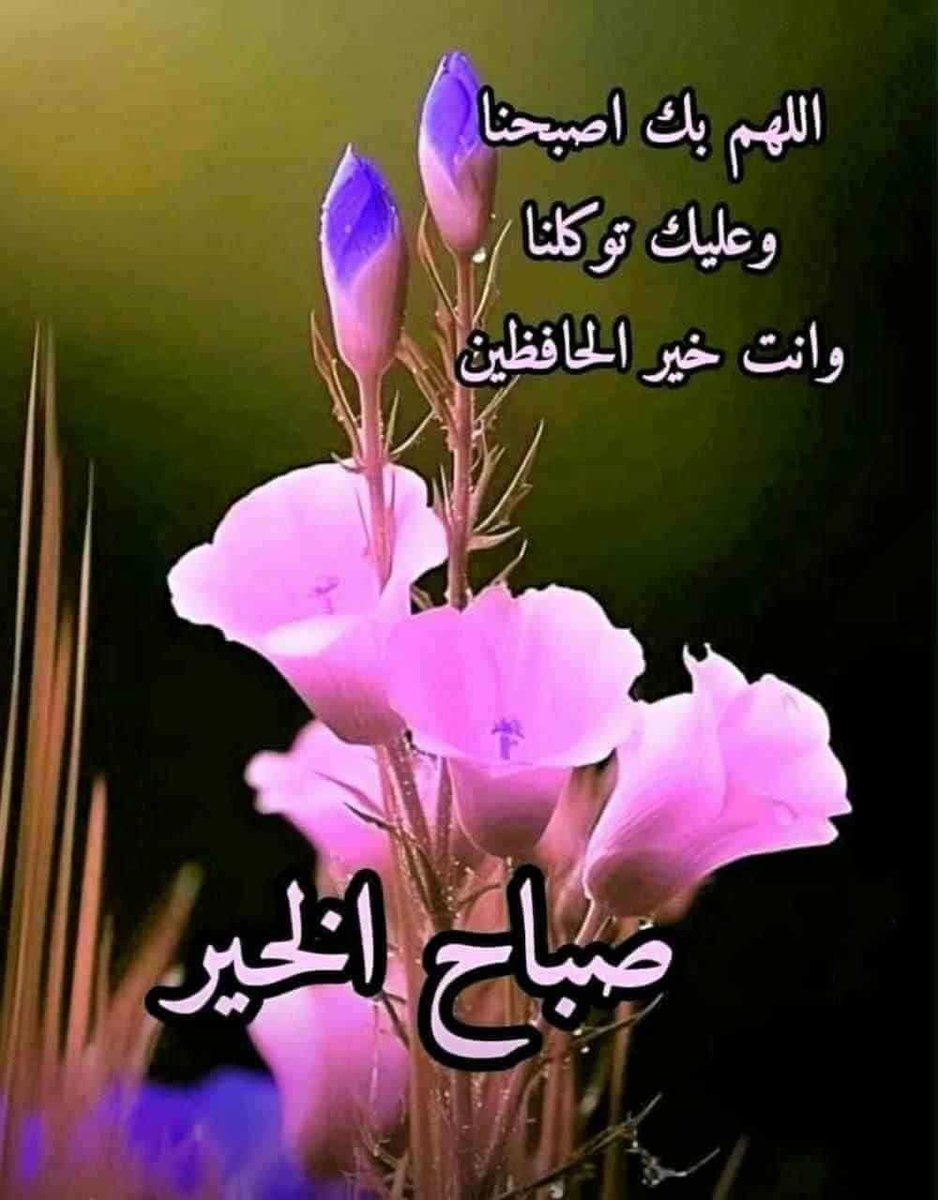 احد مبارك عليكم 🙏