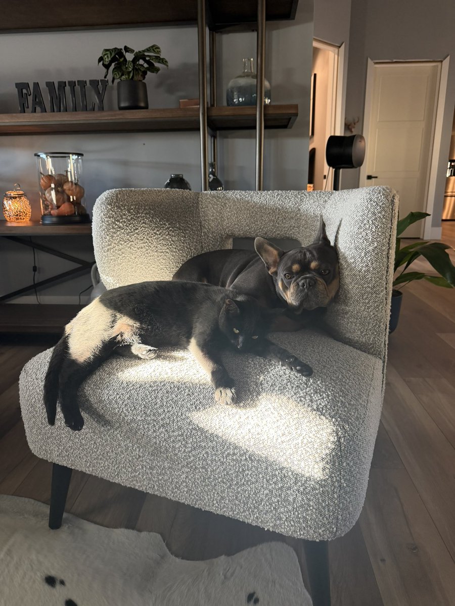 Gods Warrior tweet media