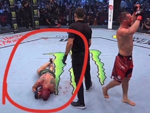 235lb percy tweet media