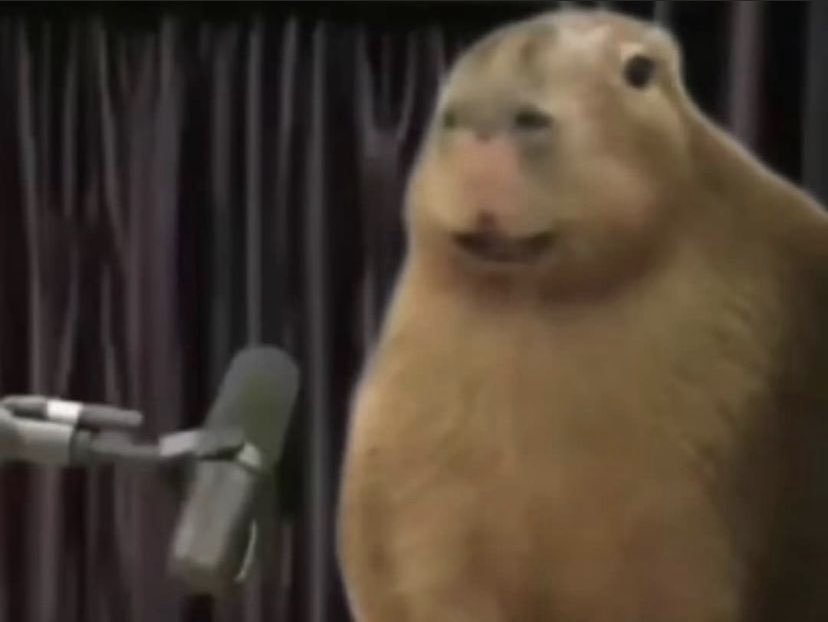 JB_JuneBug's tweet image. tell me why They got a wild animal as a Guest on my favorite podcast o-0