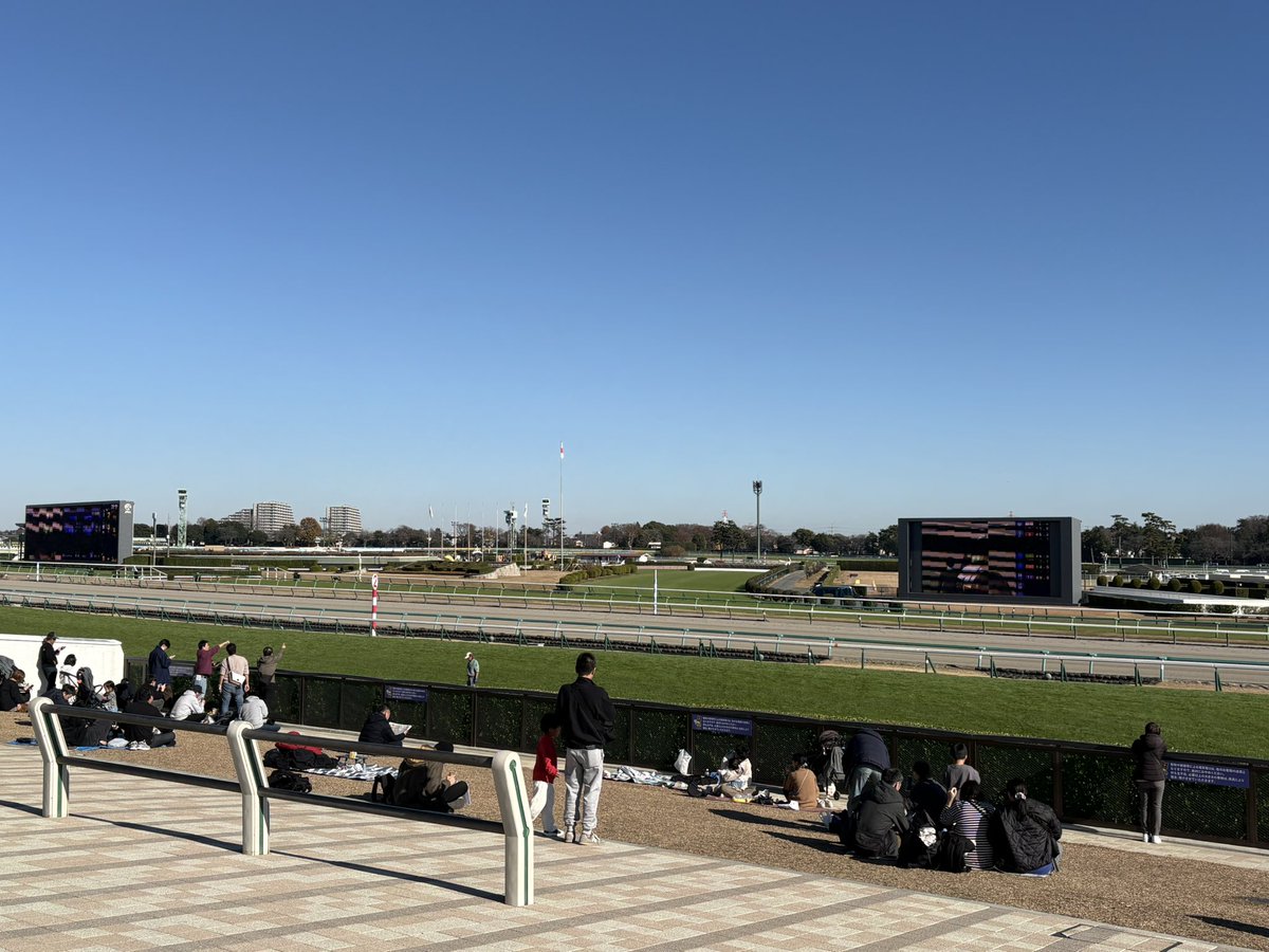 今日は中山競馬場に来ました😊