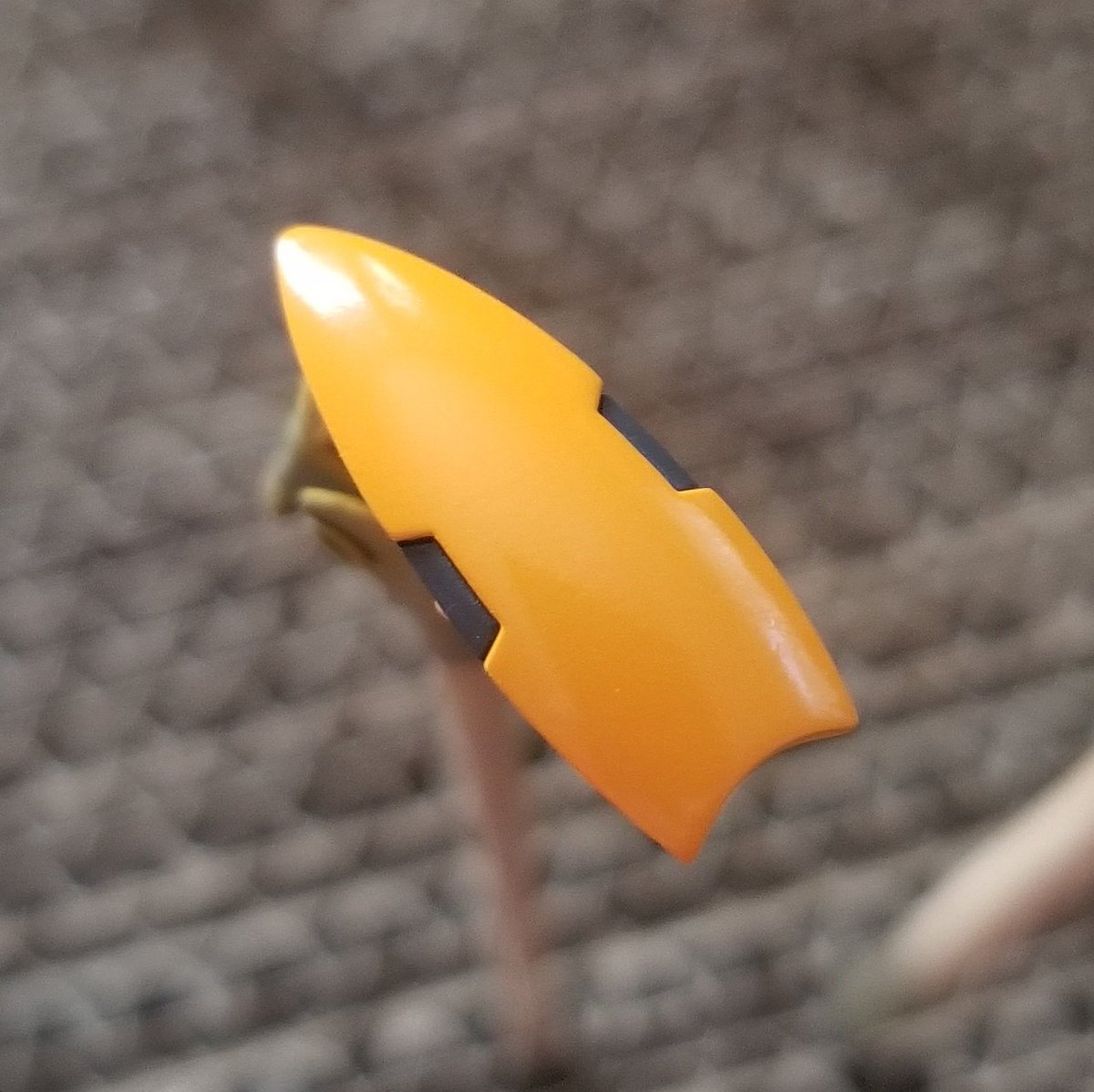 綺麗に塗れたな