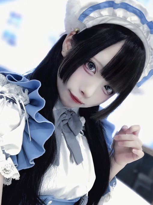 子猫maidcafeRagdollのツイート