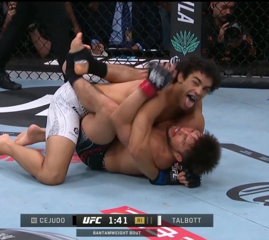 Spinnin Backfist tweet media