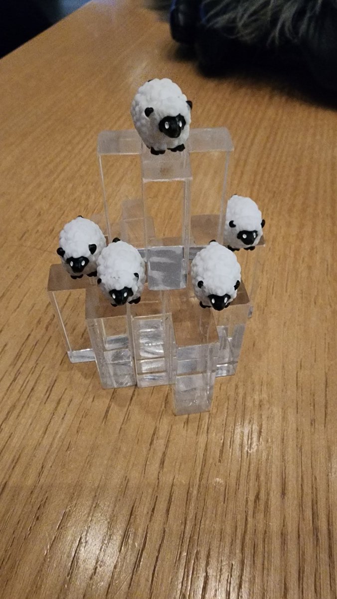 Neda The Sheep tweet media