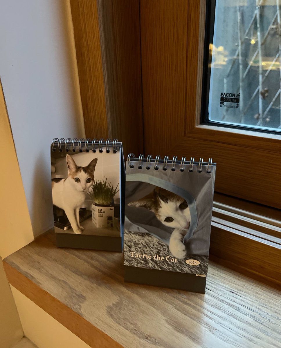 내년에도 함께할 예쁜 태리 달력😍 선물 감사합니다. <a href="/tarriethecat/">고양이 태리</a>