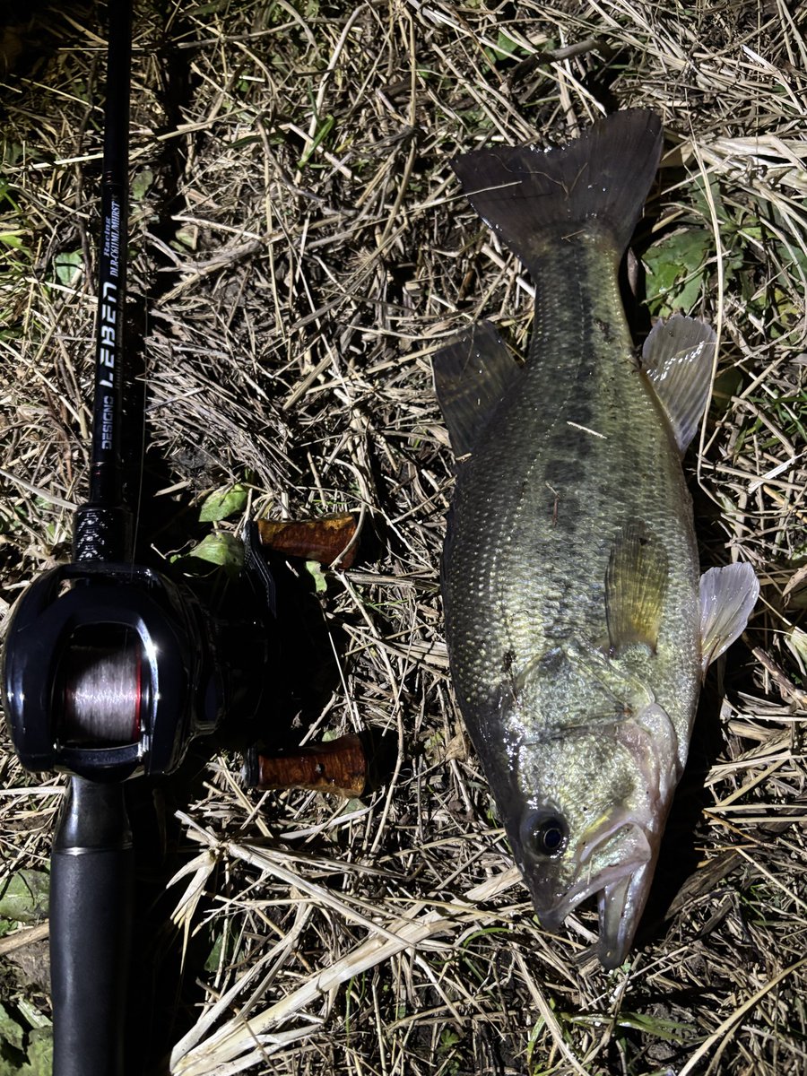 PentagonNobu's tweet photo. 昨日の霞ヶ浦🎣
冬に喰わせられる所はあそこしか無いと思い車で40分以上かけて移動🚗
居てくださいました🐟❤️
サイズに関係なく嬉しい✨
お昼は喜元門平須店の佐野煮干し🍜
最高😆‼️
いつもご馳走様🙇♂️
#スプリームスタイル
#ペンタゴン
#designo
#霞水系
#喜元門平須店 https://t.co/27stuFHAGO