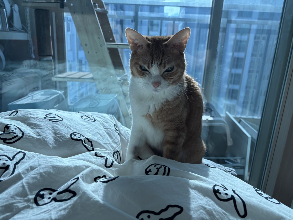 moo_boro's tweet image. 빠나나~ 눈 이쁘게 떠야지 !?