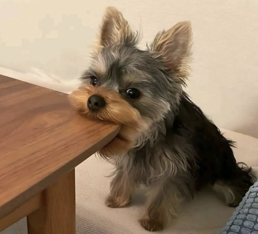 Mi jefe: Aguantas un rato más o ya te quieres ir a comer?
Yo:
