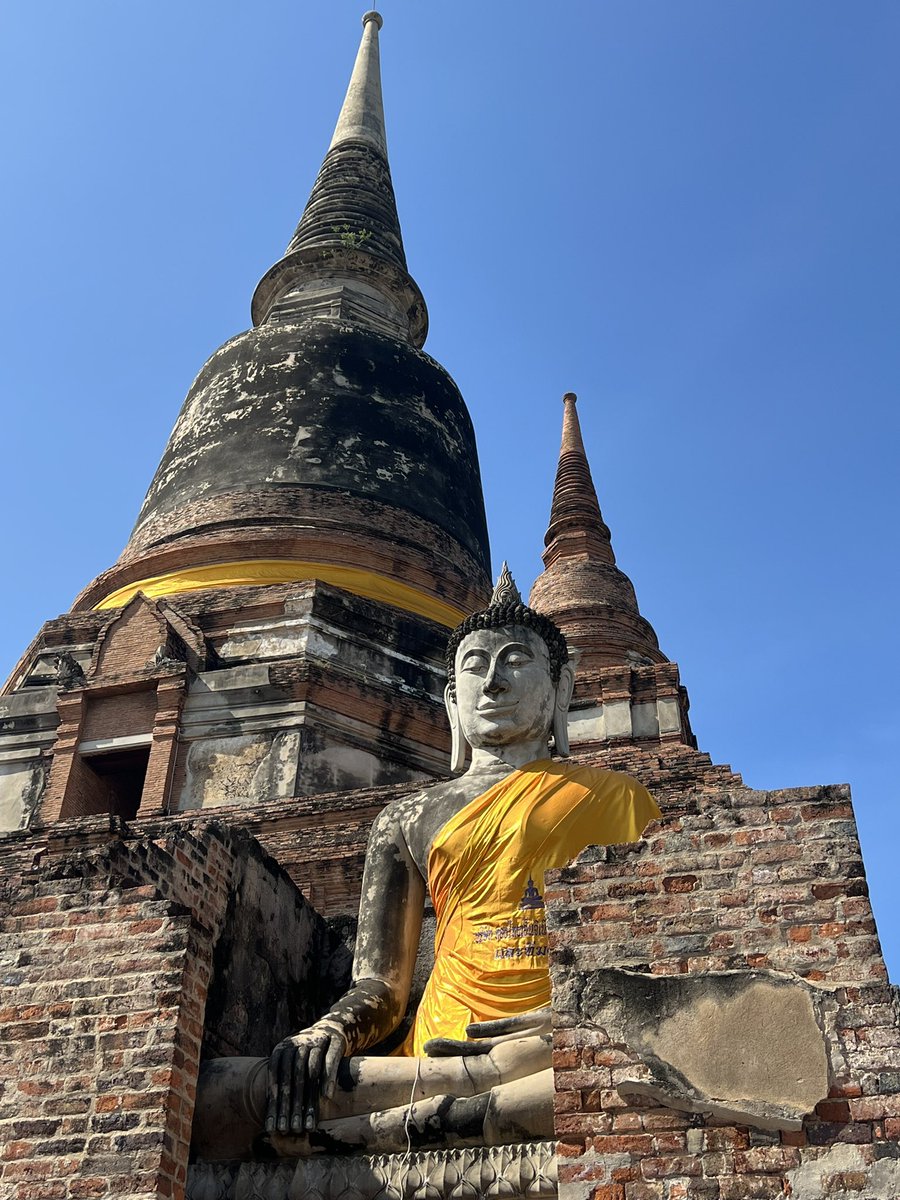 btttz's tweet image. Solo.