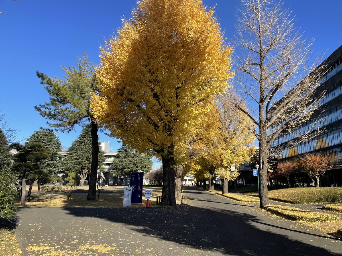 今日は全問時間内に埋められた〜❤️

でも易しいと感じた回って案外スコア取れないこと多い気もするし…😅

とにもかくにも一緒に受験した皆さん、お疲れさまでした

#TOEIC