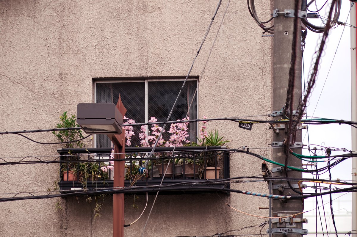 こっちゃん (@mmQ6YwdIE3qUz95) on X