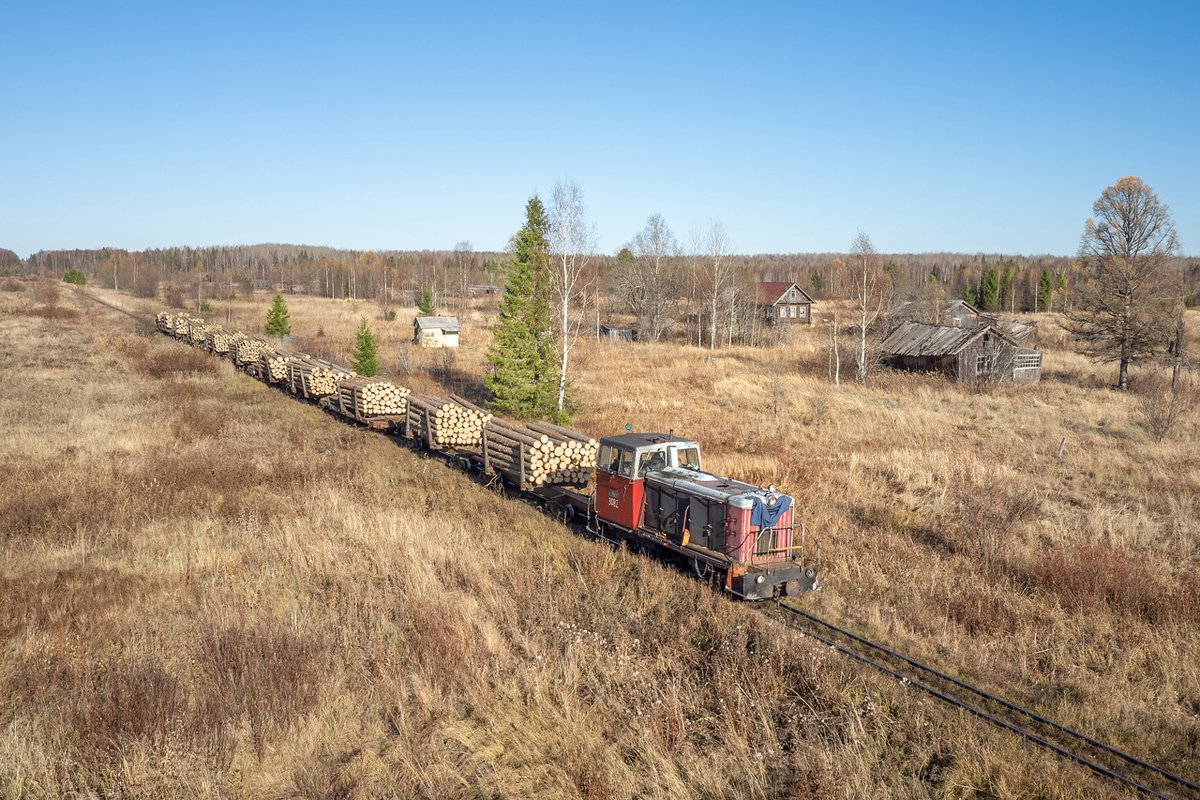 Тепловоз ТУ6А-3082 с вагонами-сцепами, Кобринская узкоколейная железная дорога, Кировская область, 15.10.2024. Diesel locomotive TU6A-3082 with a log train, Kobrinskaya narrow-gauge railway, Kirov Oblast, 15.10.2024. Photo: Seryoga 059. #Russia #TU6 #ужд #узкоколейка #лесовоз