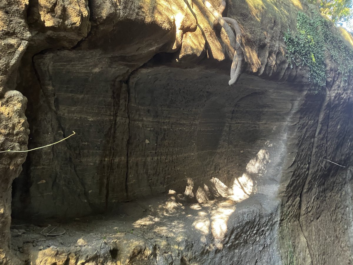 MTJP METAL DETECTING tweet media