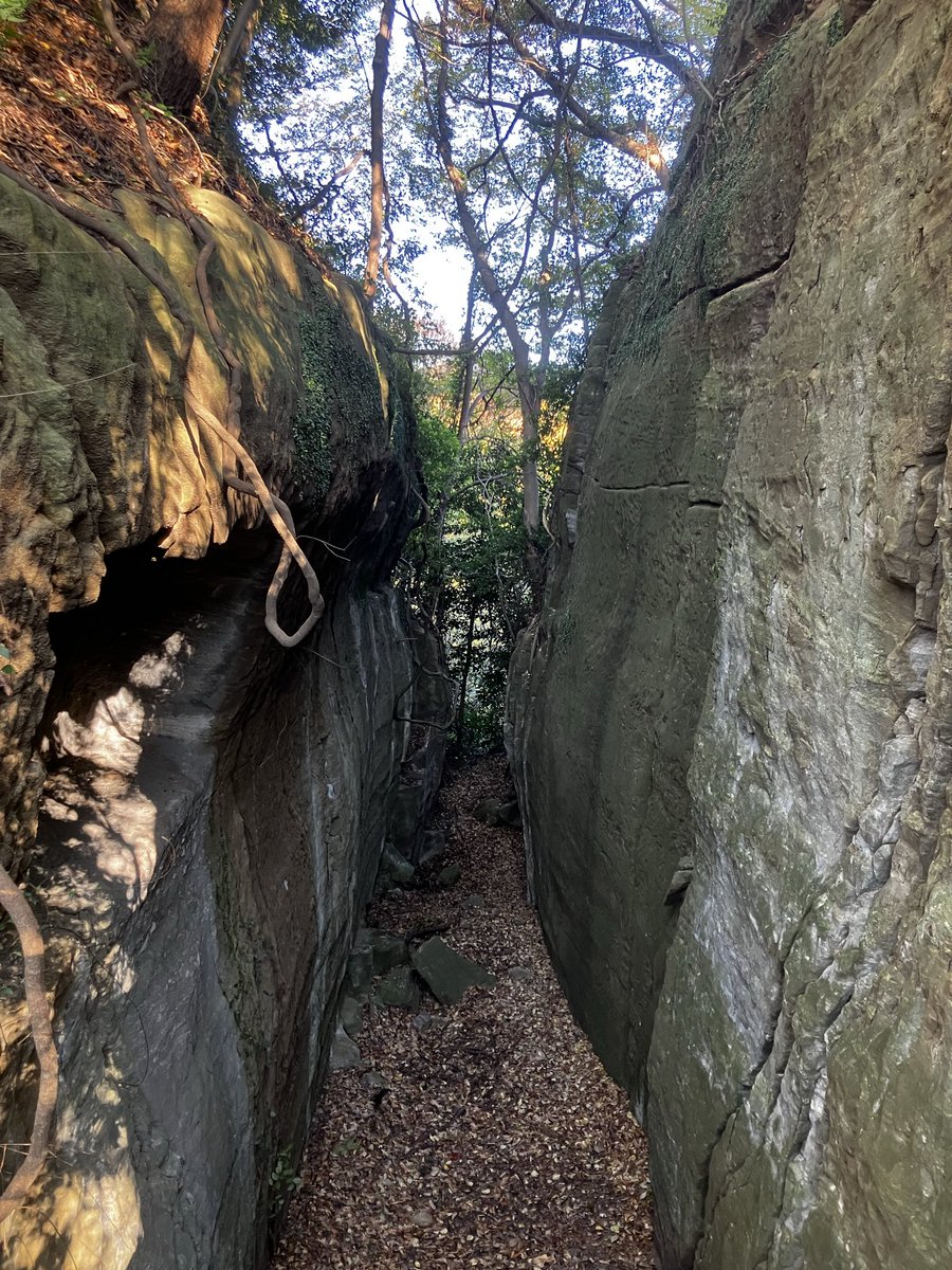 MTJP METAL DETECTING tweet media