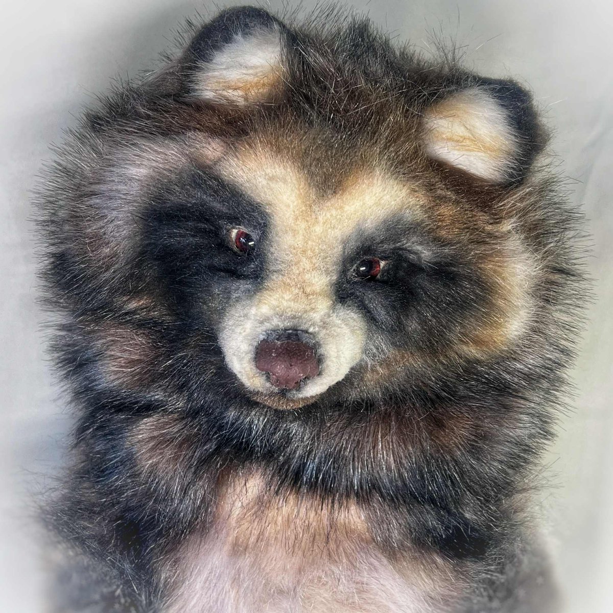 たぬきにも種類があるんですよ🐾🍃 ＃ハンドメイド ＃アートドール