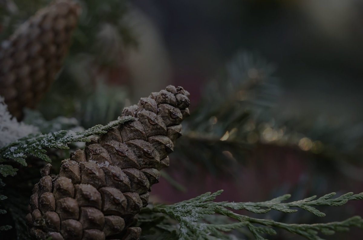 Calling Catholics (and protestants!) in the Gilbert AZ area, save the date: Dec 19. I'm doing an Advent parish mission at St. Anne's called Recharge! A one-stop-shop on how to explain the why behind the what of Catholicism. Q&amp;A to follow. patrickcoffin.media/recharge