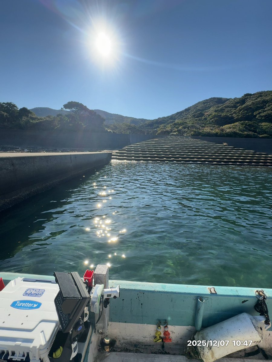 ███マイティソゥ█🦷🔨█ tweet media