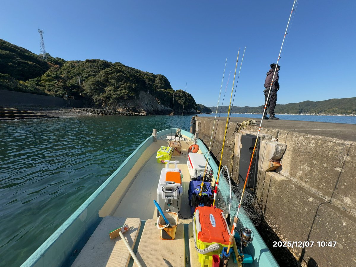 ███マイティソゥ█🦷🔨█ tweet media