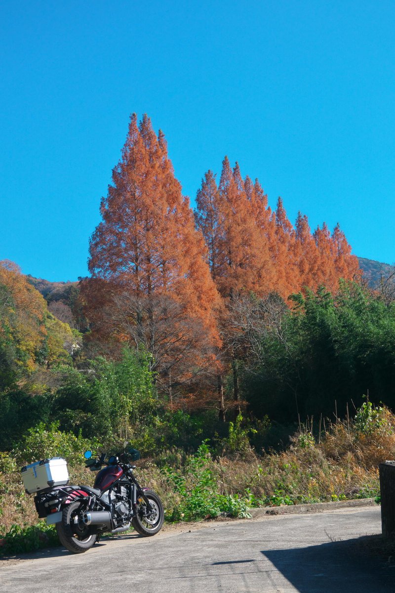 crossganner26's tweet photo. お遍路ツーリングの準備段階として、1番札所へ行ってみた。現金の持ち合わせが少なかったので、用品の購入は見合わせ、次の機会に。で、せっかくなので鳴門近辺適当に走ってきました(笑)
#先行チラ見せ
#α7
#RX0
#RX100M6
#RX10M3
#旅に出たくなる写真
#HONDA
#HONDAが美しい
#SC83
#レブル1100 https://t.co/dqIpgYl3HV
