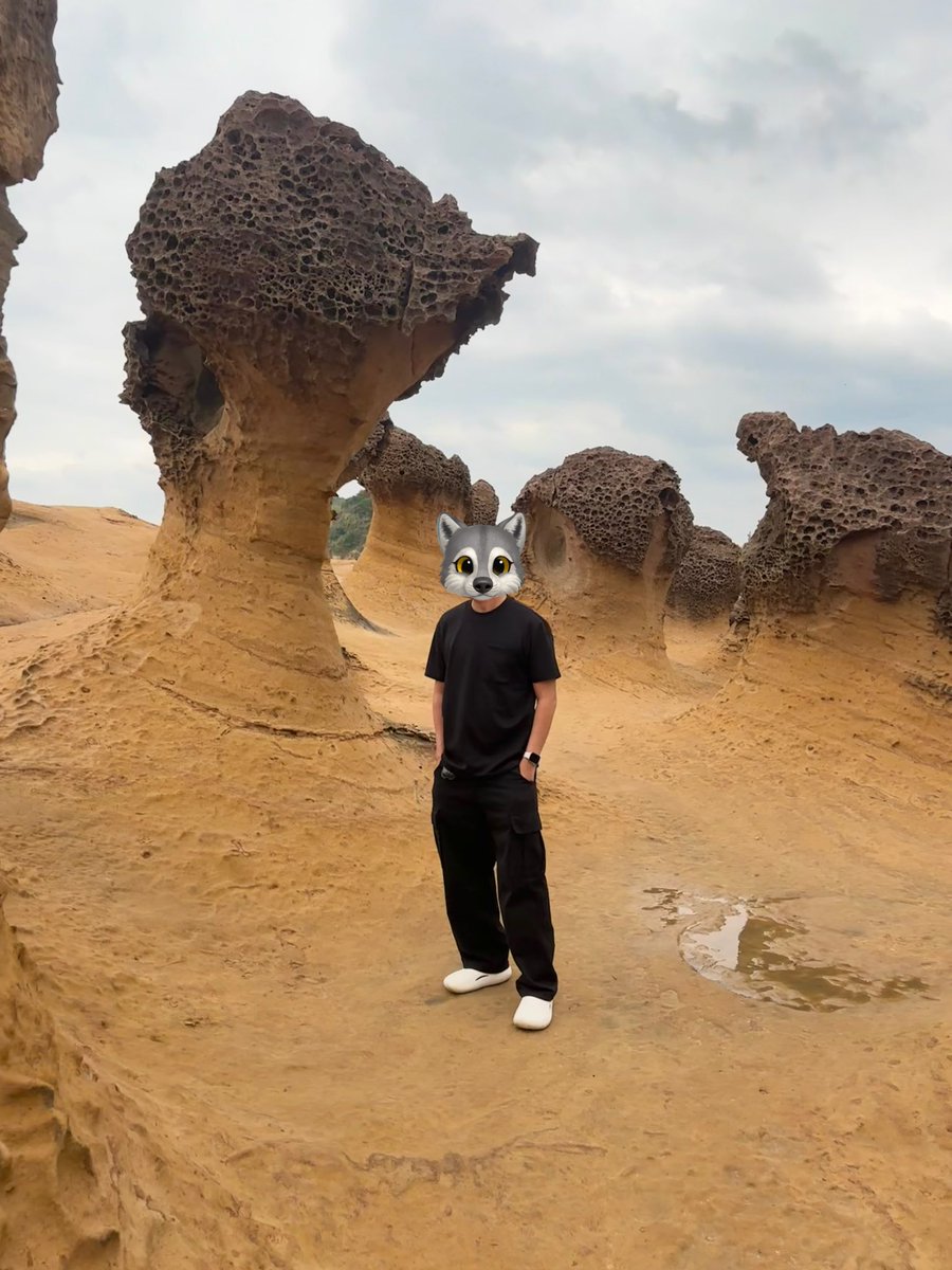 ☀️set. tweet media