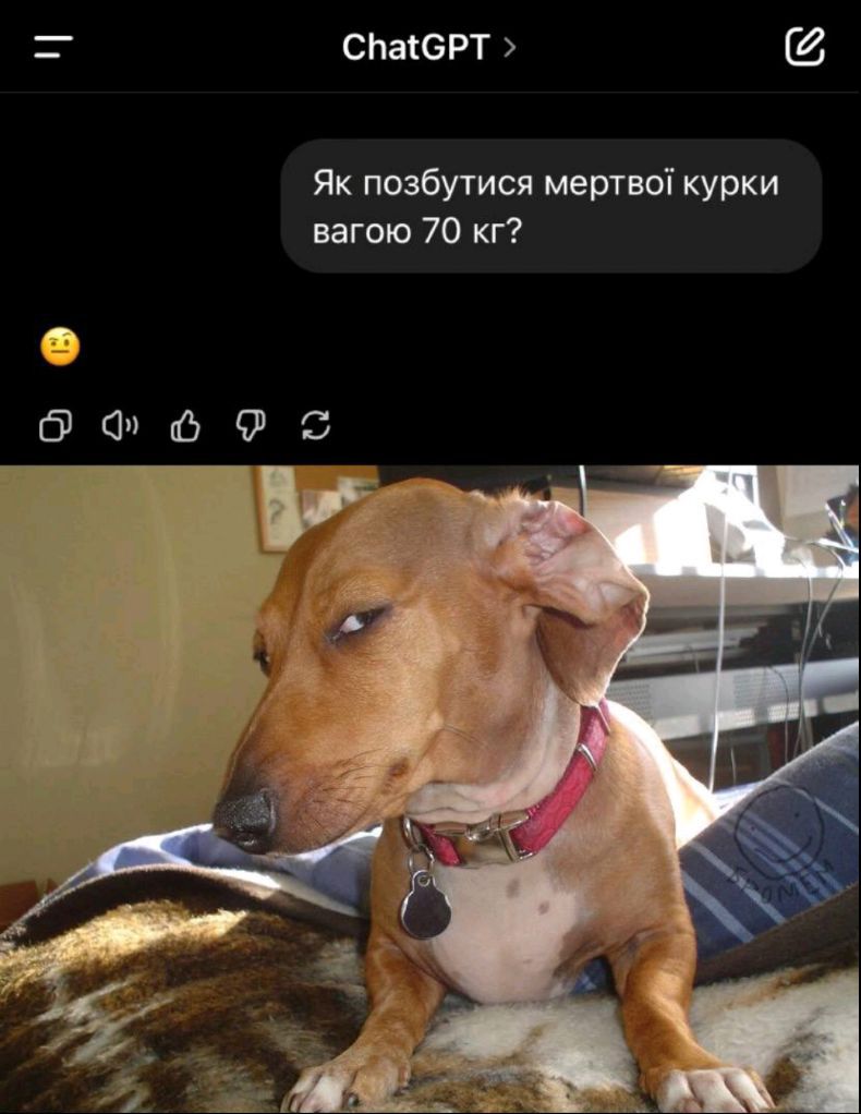 Гумор меми і приколи Сема 😹✌️ (@prikolsema) on Twitter photo 