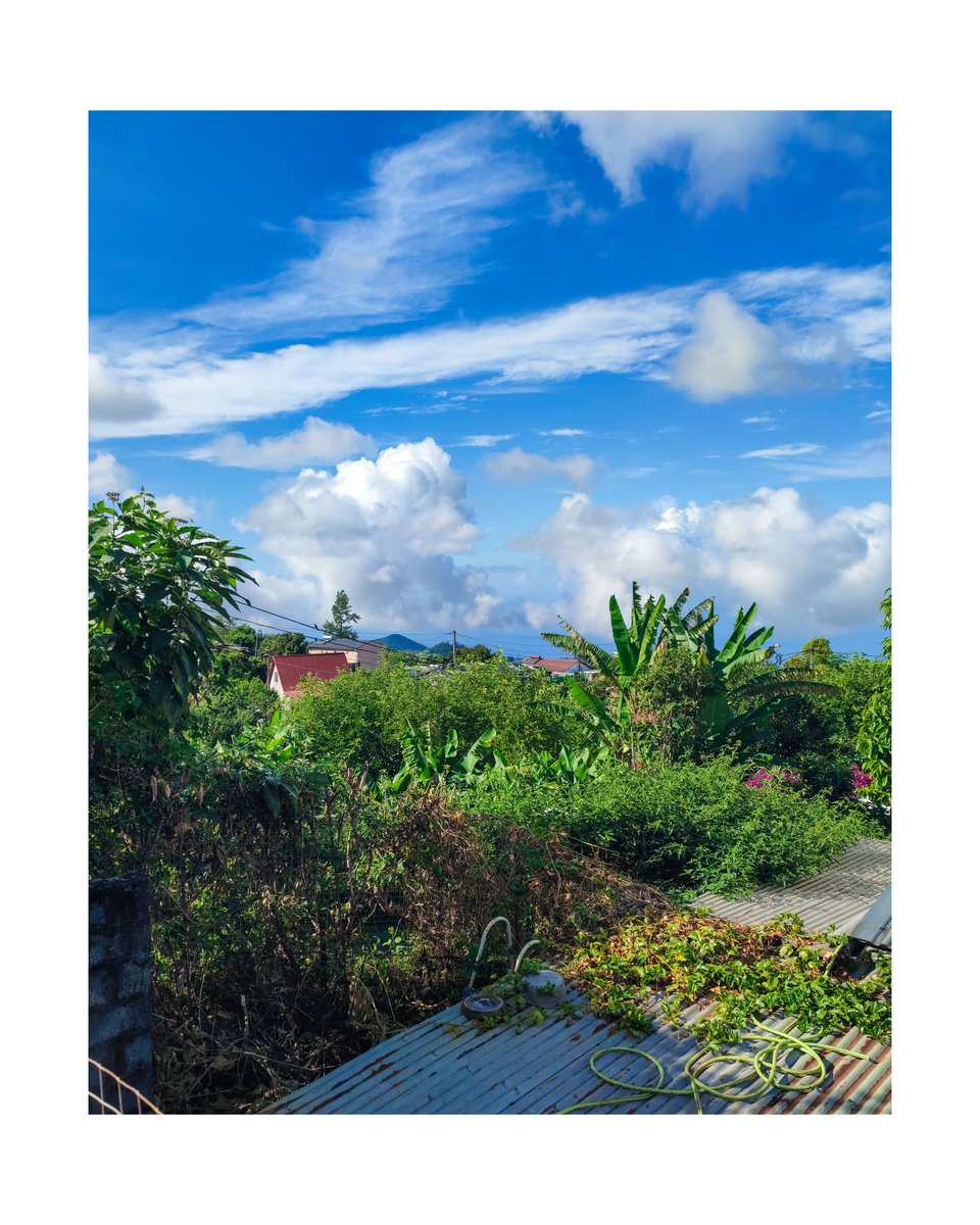 lebretonf22's tweet photo. Bonne journée la Réunion 🇷🇪 📷
#beauty #beautiful #photo #photographer #photography #photooftheday #nature #naturelovers #naturephotography #naturephoto #fyp #foryou #foryoupage #pourtoi #mobilephotography #xiaomiphotography #redminote10pro #iledelaréunion #reunionisland https://t.co/BoQjVbFIQ4
