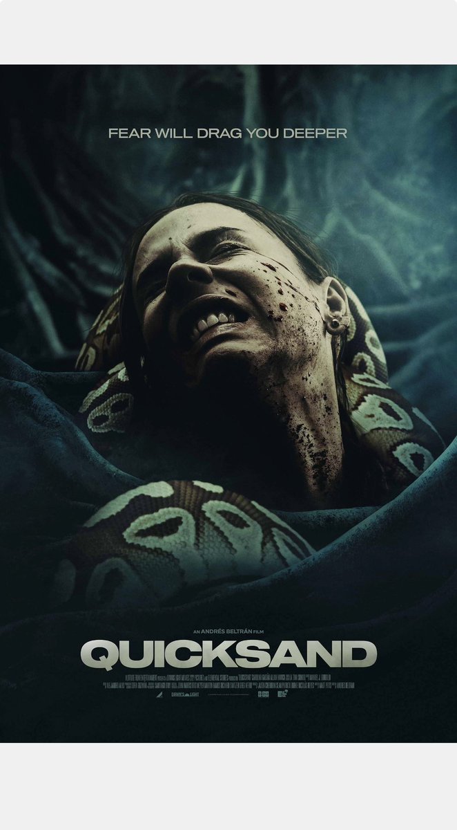 Michael Bergquist tweet media