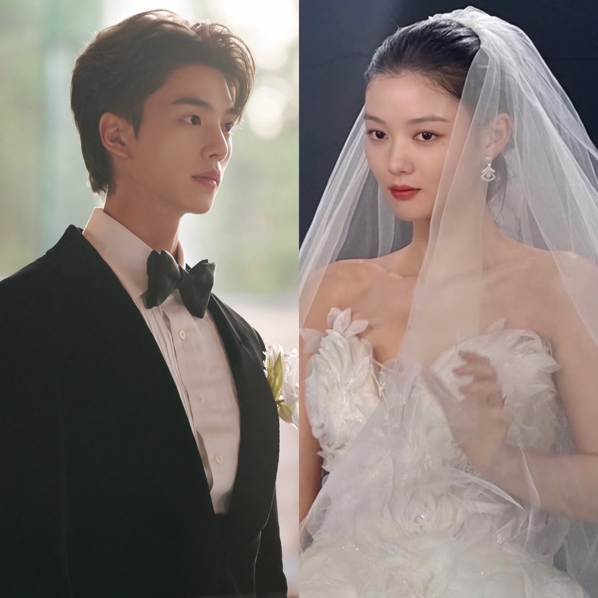 🐶🐰🤵👰‍♀️