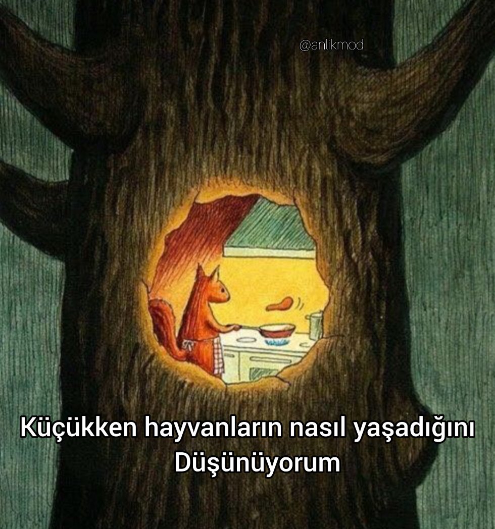 ANLIK (@anlikmod) on Twitter photo 