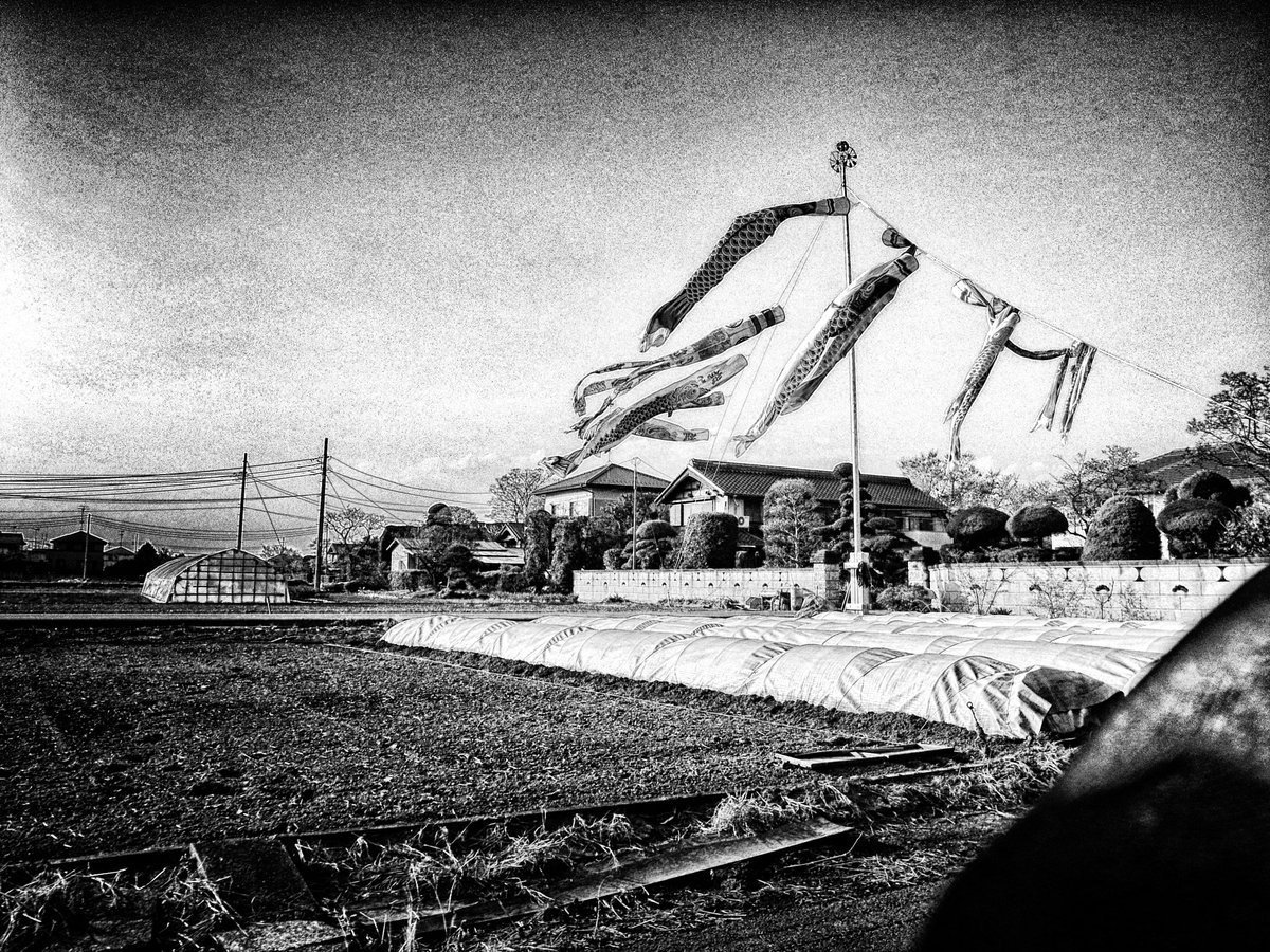 RICOH GR DIGITAL III 2012:04:18 16:39:14 ISO64：0.001 (1/1620) ：0