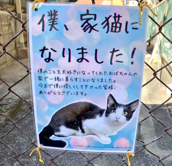 いい看板ですよね。