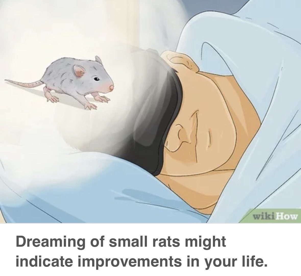 equine__dentist's tweet image. i really need this