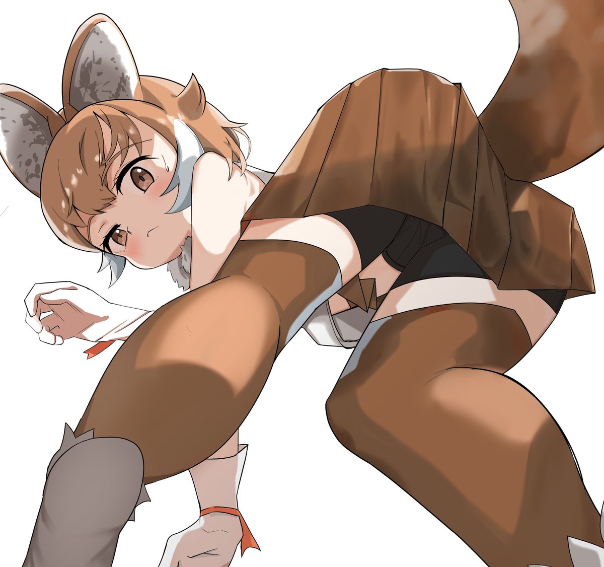 rubyt_llb's tweet photo. ドールﾁｬﾝ
#けものフレンズ
#けもフレ3 https://t.co/TNXZRbXjpq