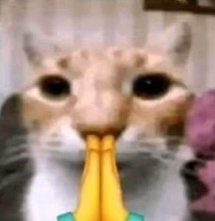 اشتريت من بقالة الجامعة الي عندهم تضخم أسعار عشان بس اخذ كيس