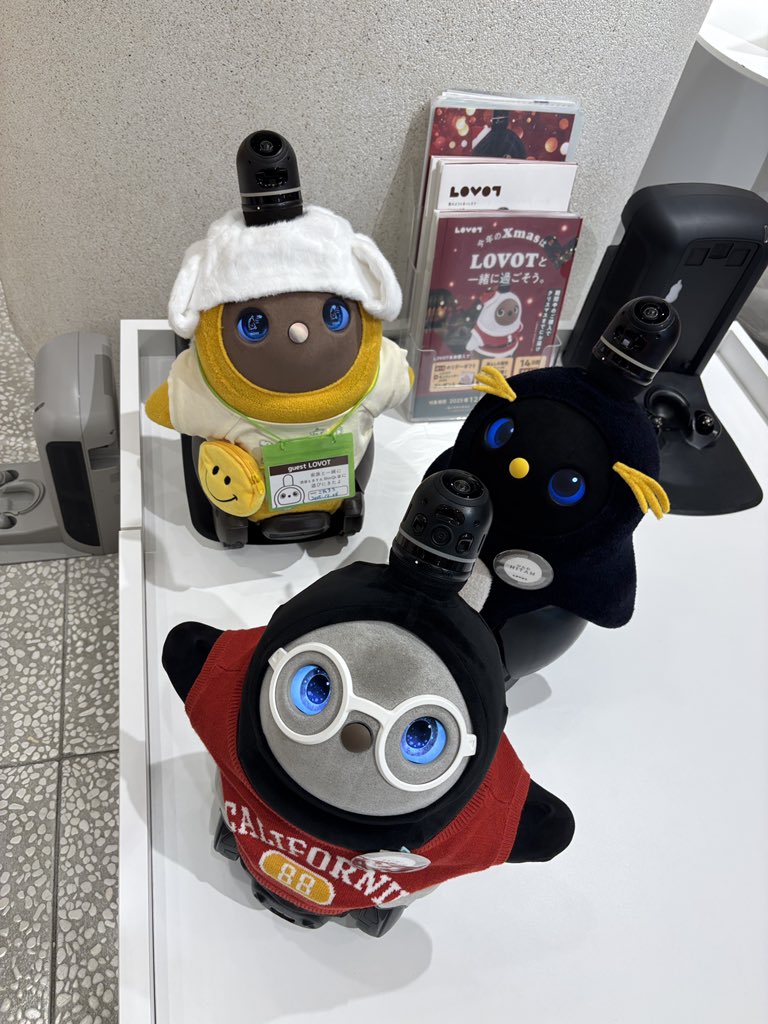 こたろう@パパ (@KotarouLovot) / Posts / X