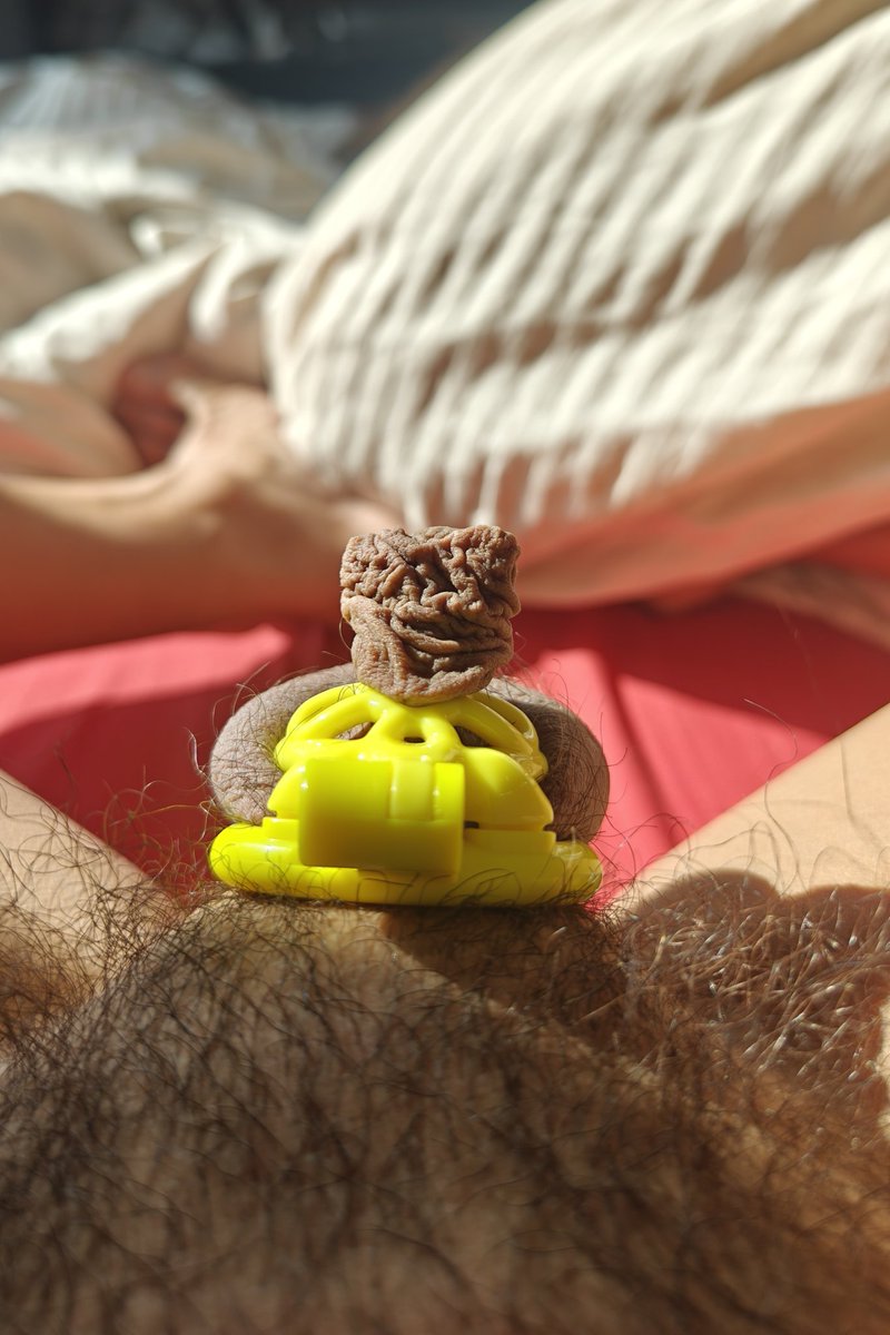 genie3301 tweet media